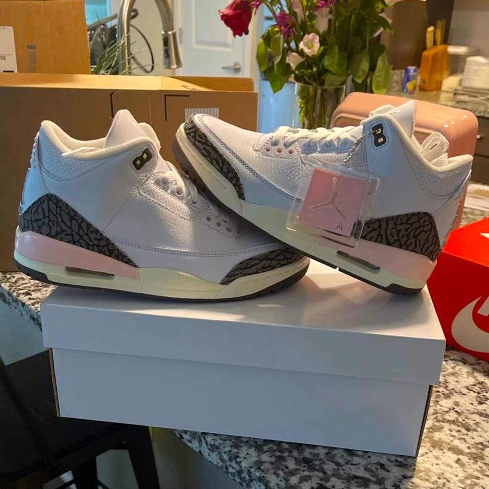 Air Jordan Retro 3 - Neapolitan